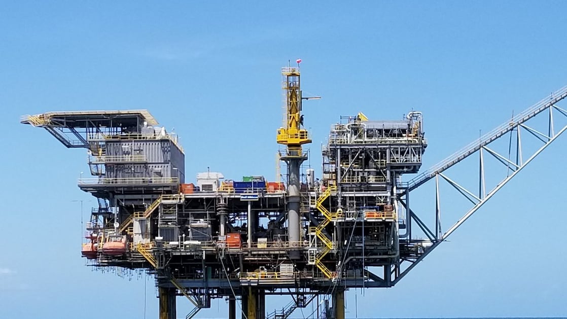 Hibiscus platform
