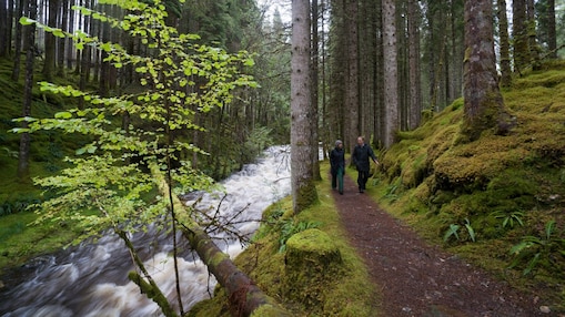 A man and a woman walking along rapids in a forest